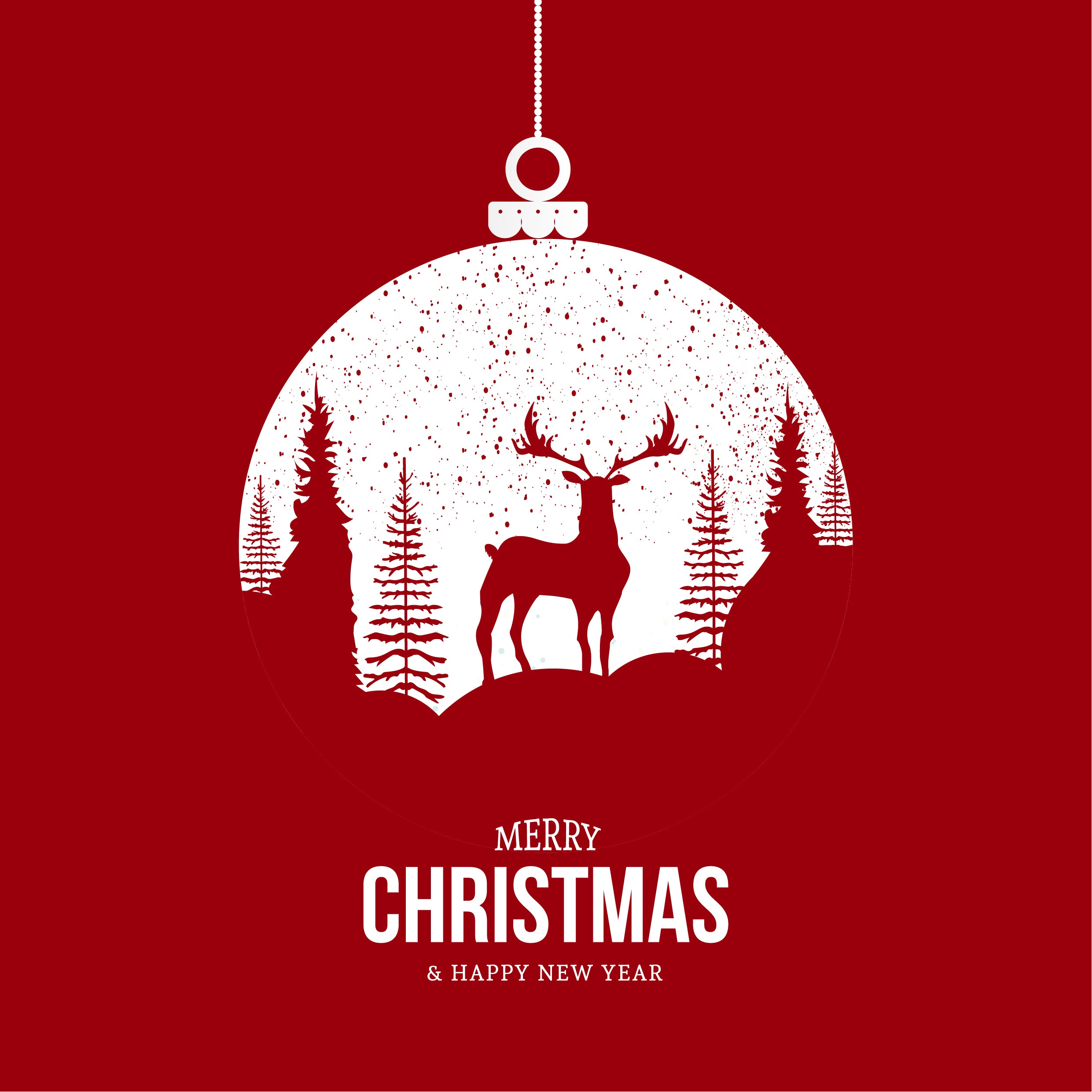 Christmas Arrival