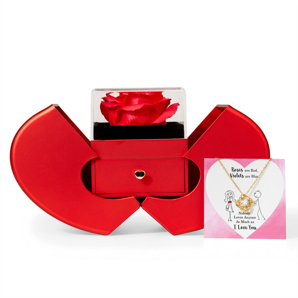 Heart-Shaped Promise - Love Knot Necklace w/ Red Heart Rose Box