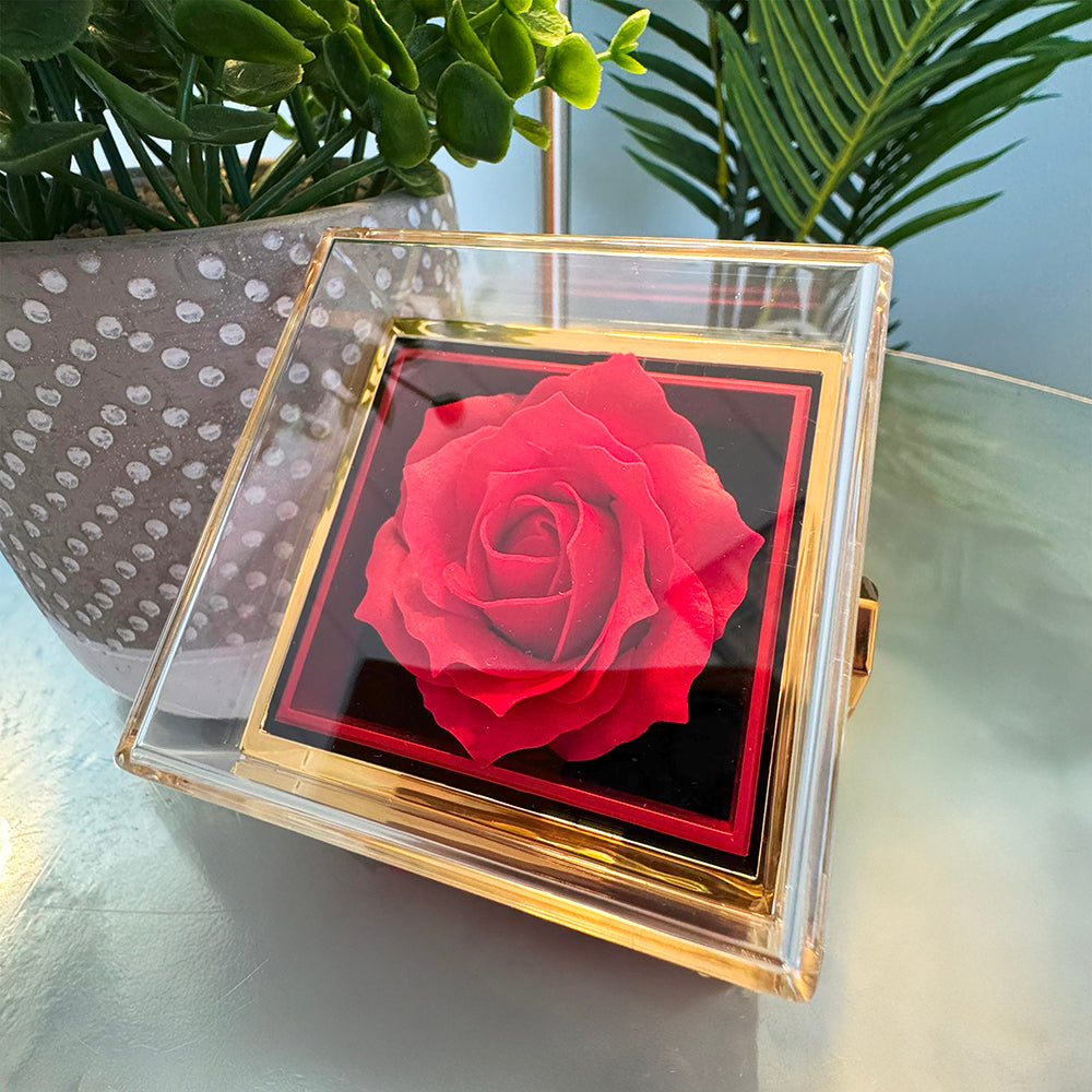 To My Wife: Favorite Part Of The Day-Happy Valentine's Day Alluring Beauty Necklace w/ Rotating Rose Giftbox